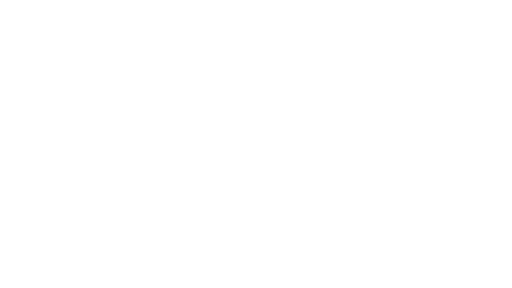 TP.ai Dataservices white logo TP.ai Dataservices white logo