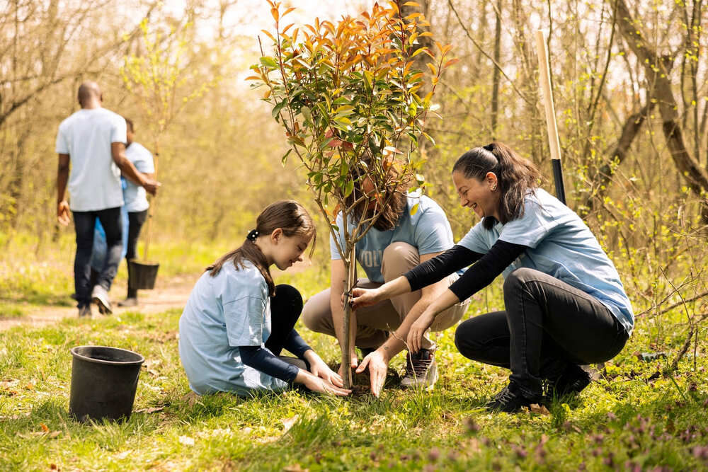 Group of people planting a tree together Group of people planting a tree together