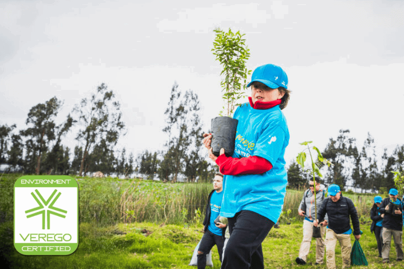 A person holds a young tree in a pot, participating in a tree-planting event A person holds a young tree in a pot, participating in a tree-planting event