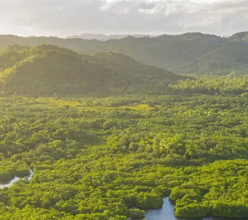 TP Amazônia In Brazil